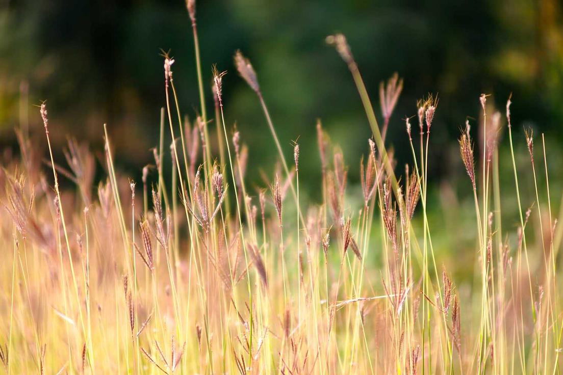 Deleniti adipisci ab laboriosam necessitatibus reiciendis iusto possimus