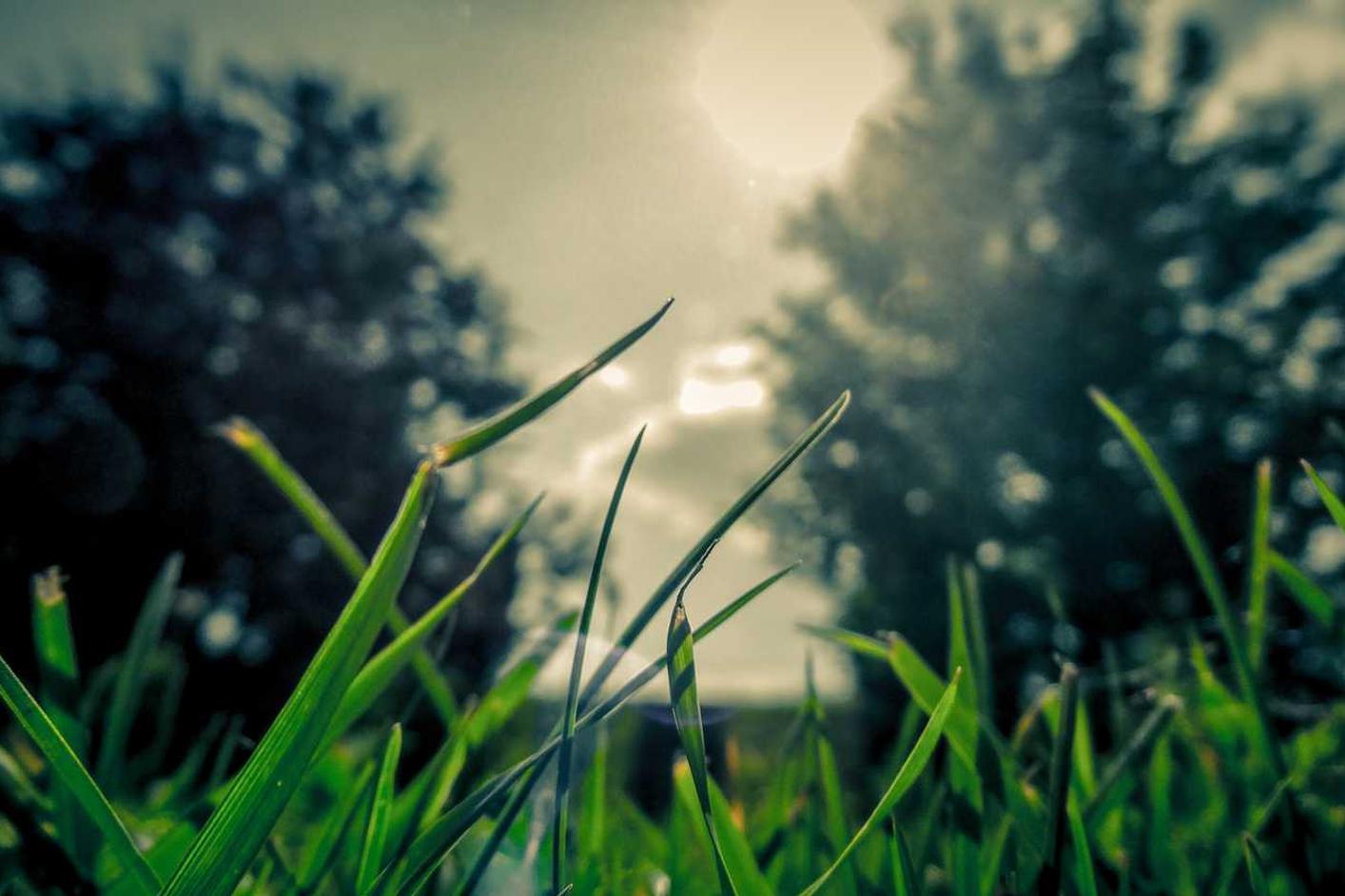 Rerum nisi aspernatur ratione Rerum nisi aspernatur ratione